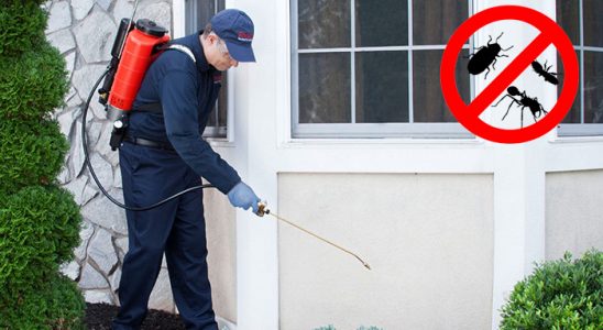 Çamdibi Böcek İlaçlama böcek ilaçlama ve haşere kontrolü — ilaclama-tr.com